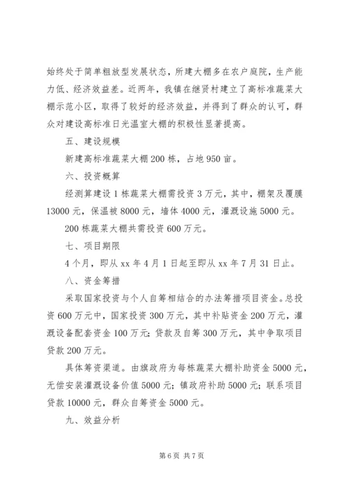 蔬菜大棚项目建设可行性报告 (6).docx