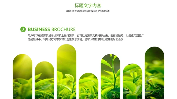 绿色唯美茶文化品茶论道PPT模板