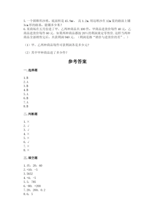 人教版六年级下册数学期末测试卷（典优）word版.docx