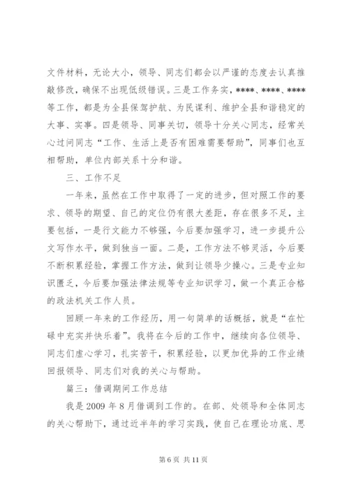 借调期间个人工作总结.docx