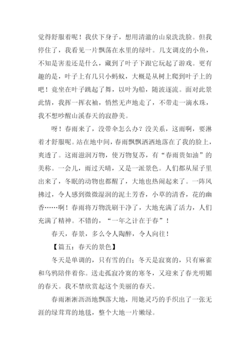 春天的景色作文800字.docx