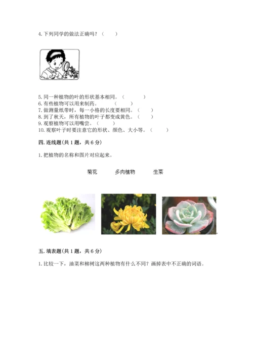 教科版一年级上册科学期末测试卷审定版.docx