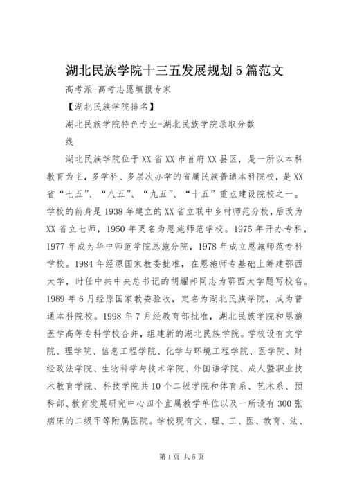 湖北民族学院十三五发展规划5篇范文 (4).docx