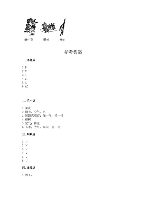 教科版科学一年级上册第一单元植物测试卷及参考答案名师推荐