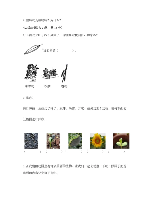 教科版科学一年级上册第一单元《植物》测试卷附答案（培优b卷）.docx