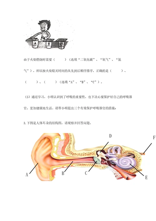 教科版小学四年级上册科学期末测试卷带答案（满分必刷）