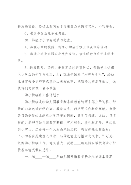 幼小衔接班工作计划5篇.docx