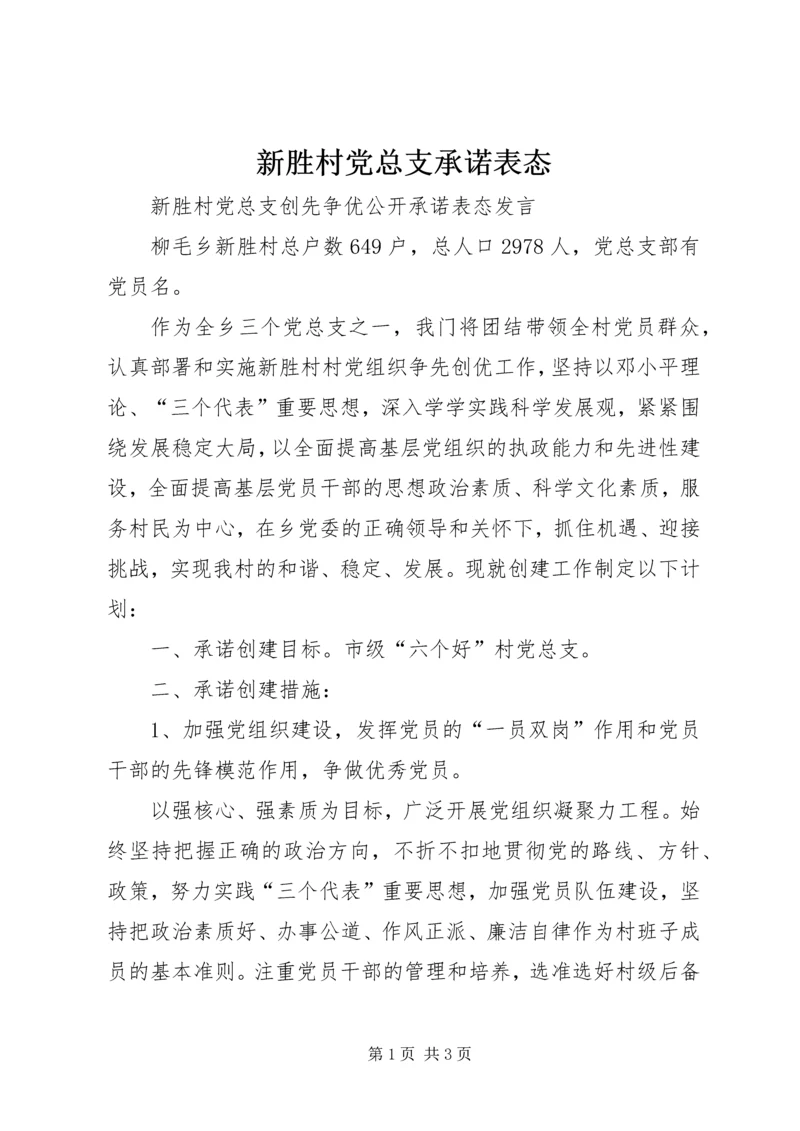 新胜村党总支承诺表态.docx