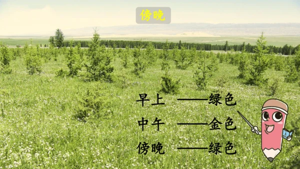 第16课《金色的草地》（第一课时）课件