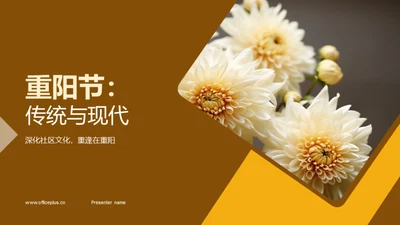 重阳节：传统与现代