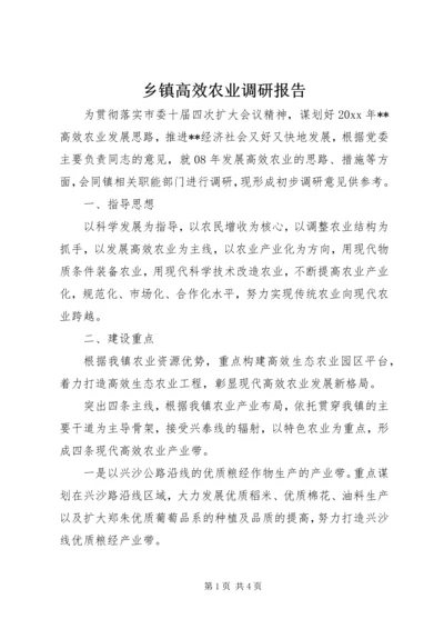 乡镇高效农业调研报告.docx