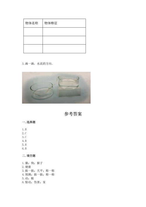 教科版一年级下册科学期末测试卷精品【含答案】.docx