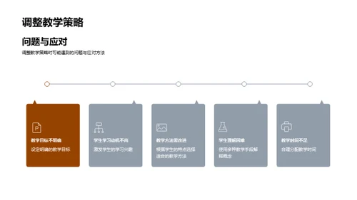 教学策略与实践