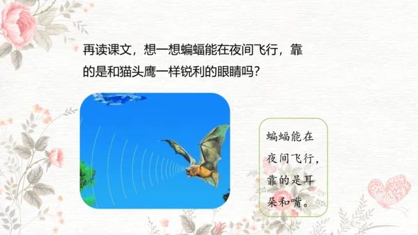 6夜间飞行的秘密  课件