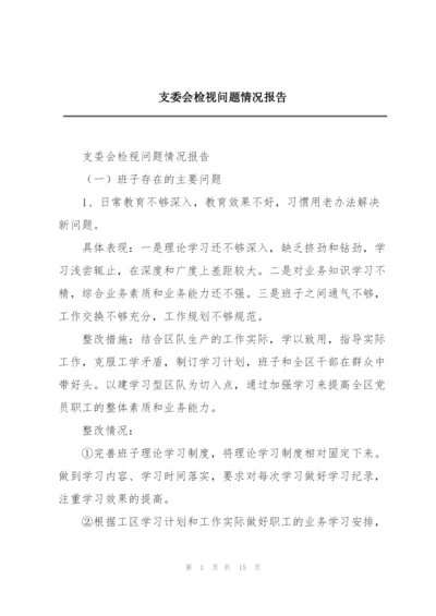 支委会检视问题情况报告.docx