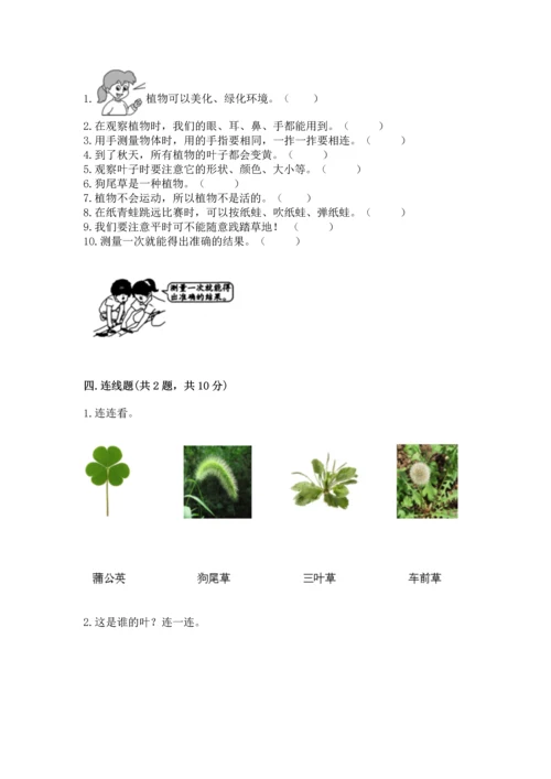 教科版一年级上册科学期末测试卷及答案（精品）.docx