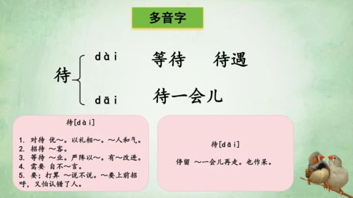 4.珍珠鸟 课件