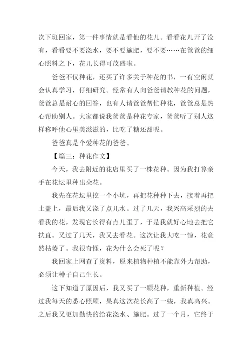 种花作文300字0.docx