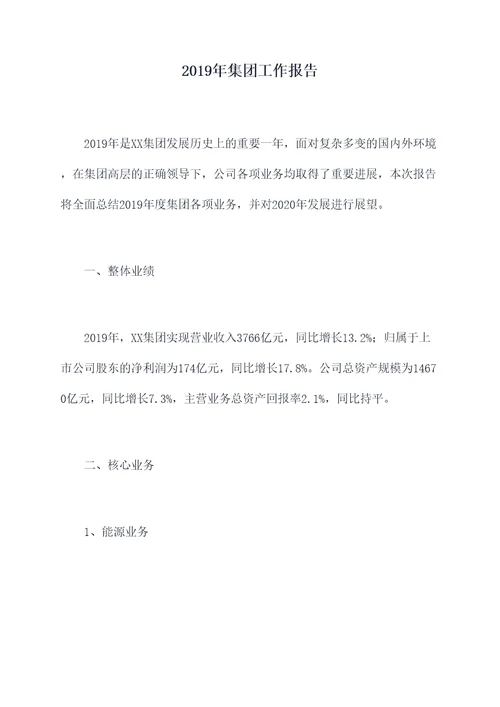 2019年集团工作报告