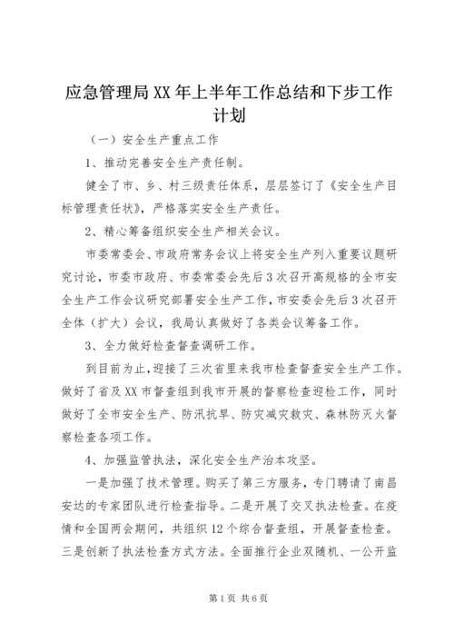 应急管理局XX年上半年工作总结和下步工作计划.docx