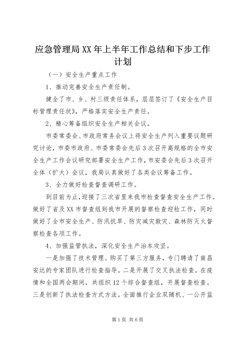 应急管理局XX年上半年工作总结和下步工作计划.docx