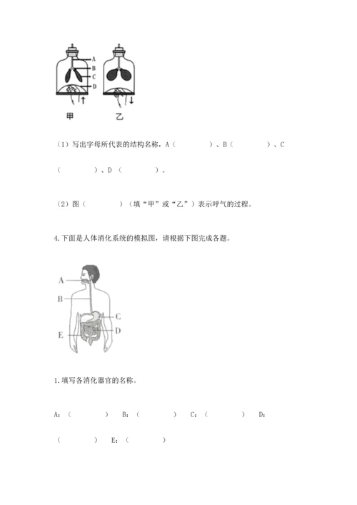 教科版科学四年级上册期末测试卷（实用）word版.docx