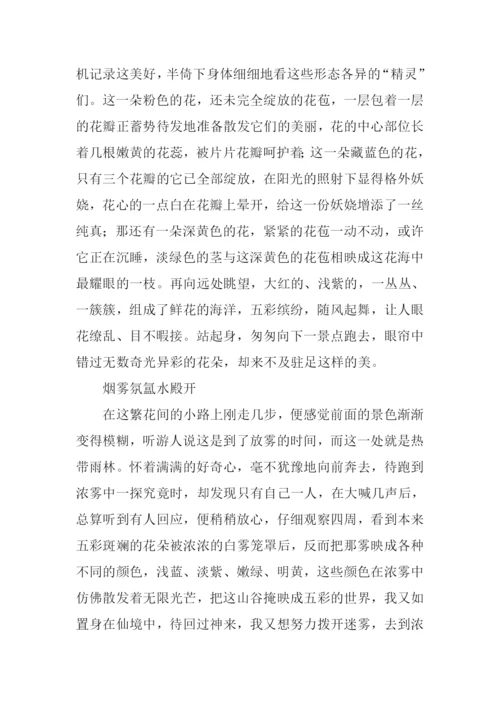 不及驻足的美作文.docx