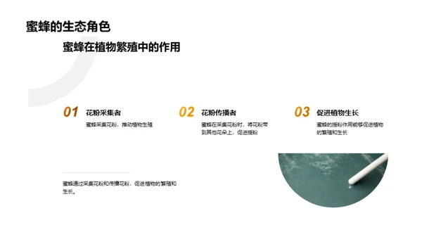 探秘动物世界