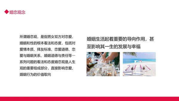 当代青年大学生婚恋意愿调查PPT模板