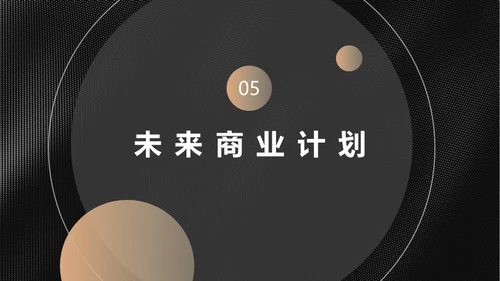 黑金商业计划投资收益报告通用PPT模板