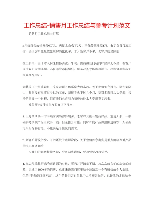 精编工作总结销售月工作总结与参考计划范文.docx
