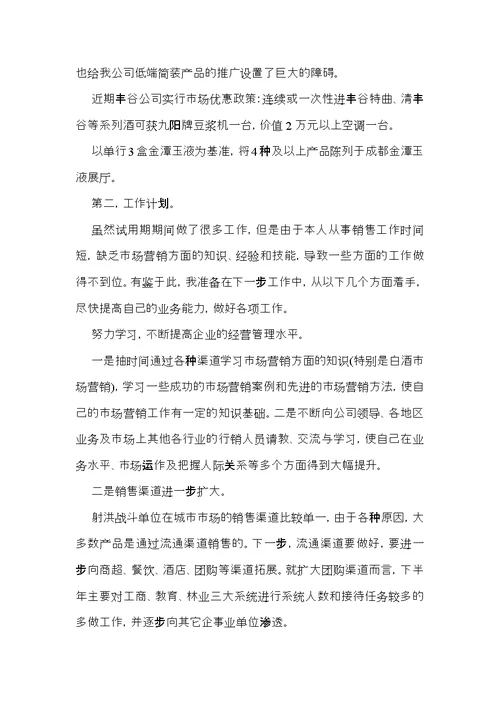 公司职员试用期工作总结 (2)