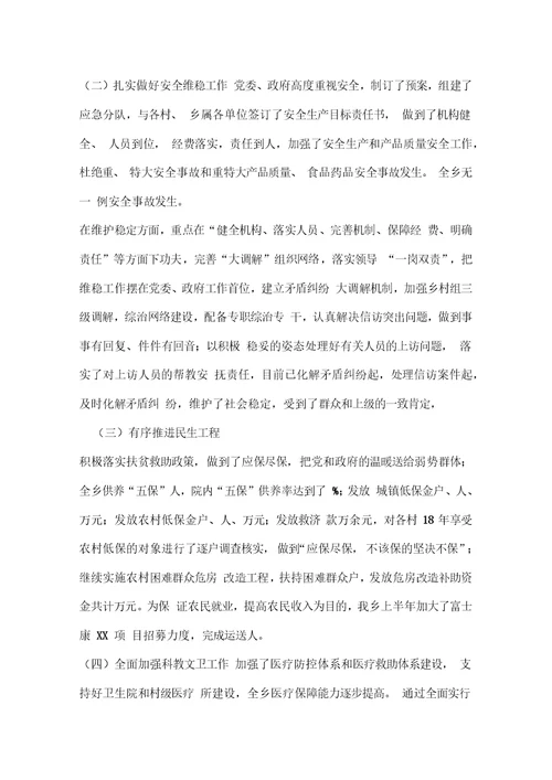 2019年上半年乡镇工作汇报发言材料