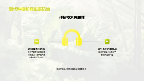 农场种植：现状与未来