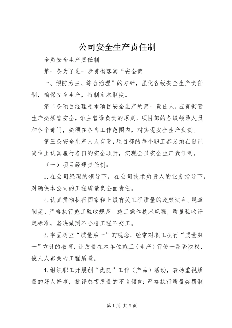 公司安全生产责任制 (2).docx