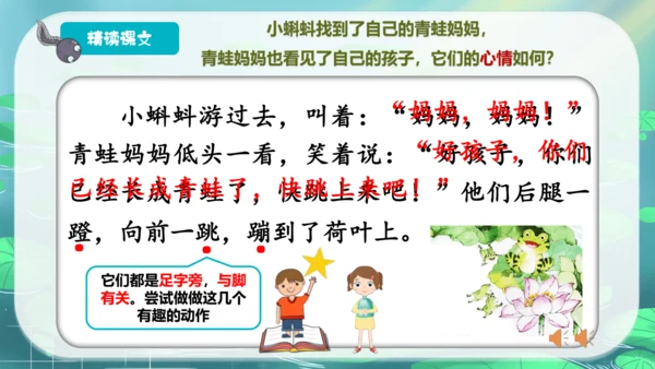 1 小蝌蚪找妈妈  第2课时 课件
