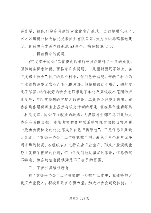 乡镇支部协会工作情况汇报[五篇模版].docx