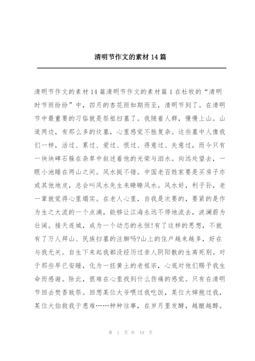清明节作文的素材14篇.docx