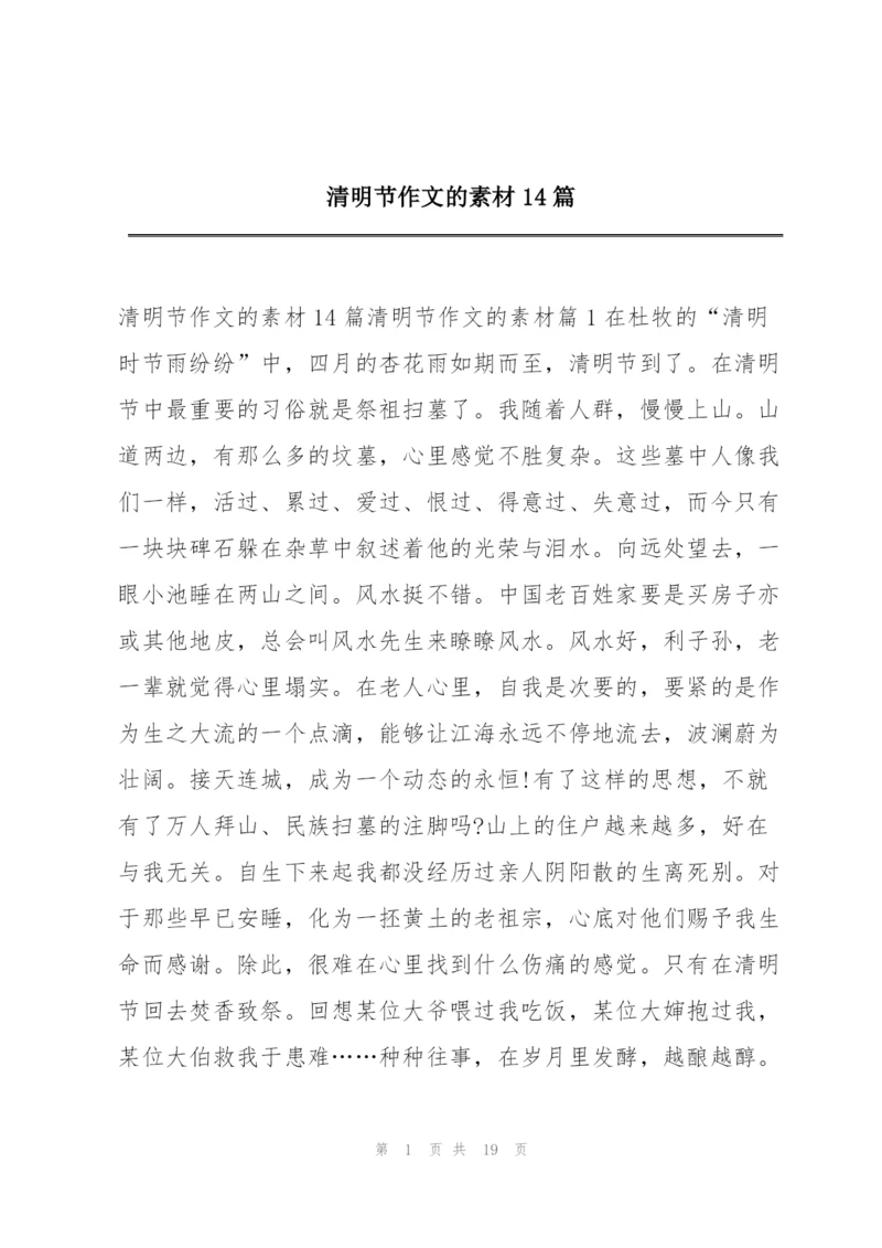 清明节作文的素材14篇.docx