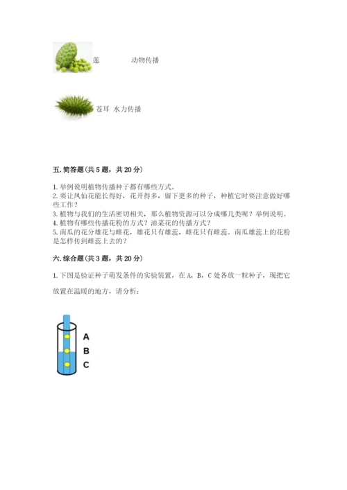 科学四年级下册第一单元《植物的生长变化》测试卷附答案.docx