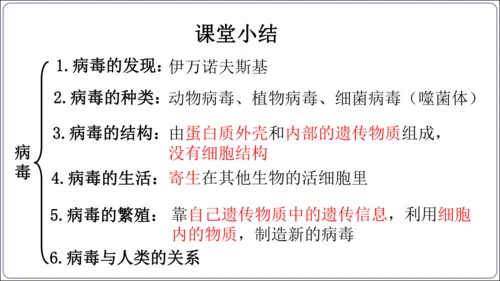 5.5第五章 病毒【2024秋人教八上生物精彩课堂（课件内嵌视频）】(共28张PPT)