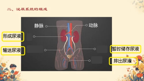 初中生物学[期末专区]七年级下册第四章和第五章复习课件(共39张PPT)