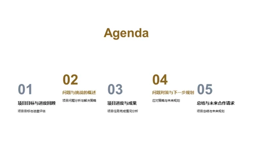 项目回顾与未来规划