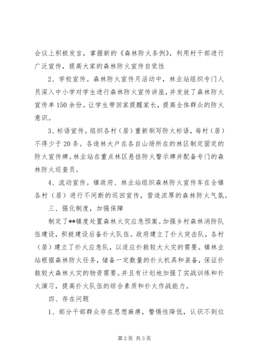 乡镇森林防火宣传月活动总结.docx