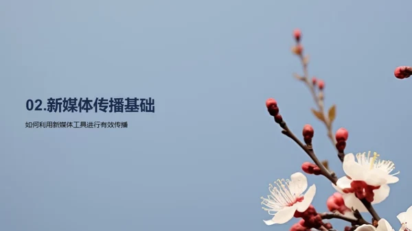 立春节气新媒传播