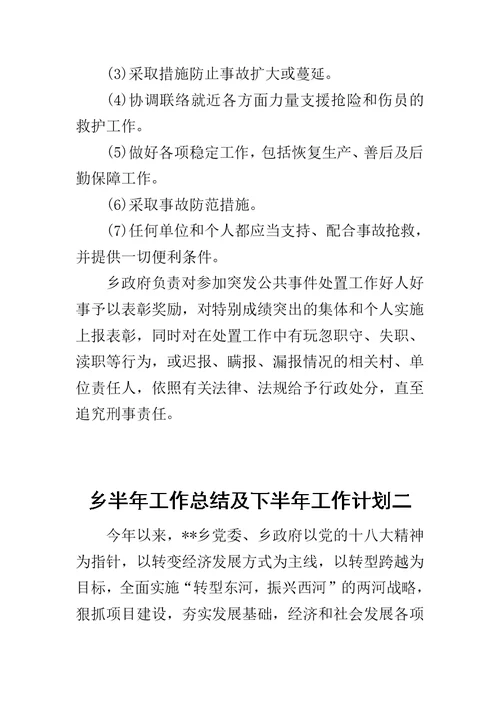 乡半年工作总结及下半年工作计划