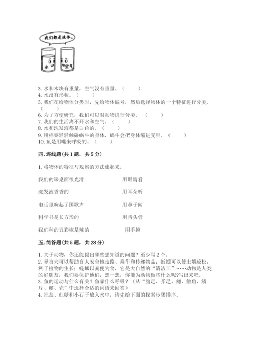 教科版一年级下册科学期末测试卷带精品答案.docx