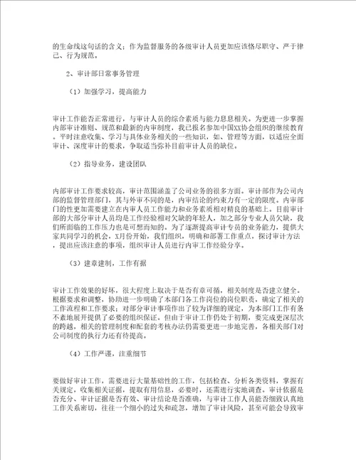 审计助理个人试用期工作总结精选15篇