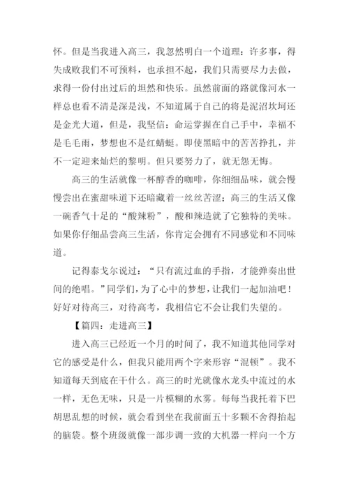 走进高三作文.docx