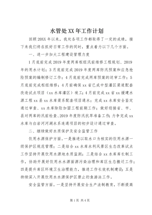 水管处XX年工作计划 (2).docx